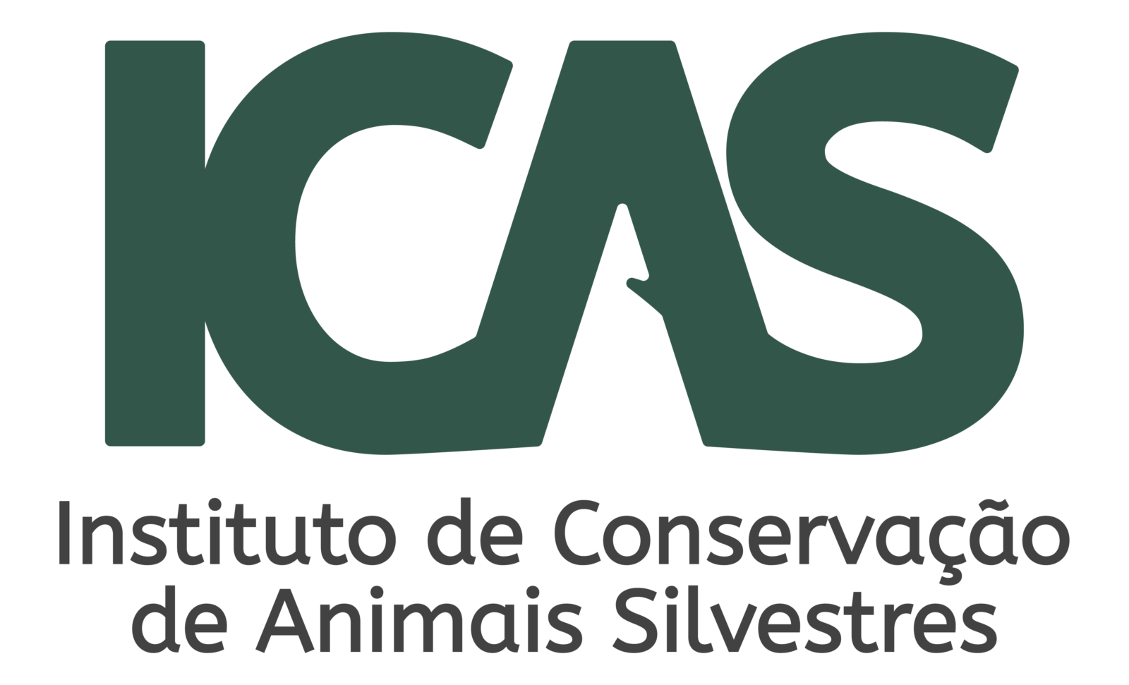 Projeto Tatu-canastra (ICAS)