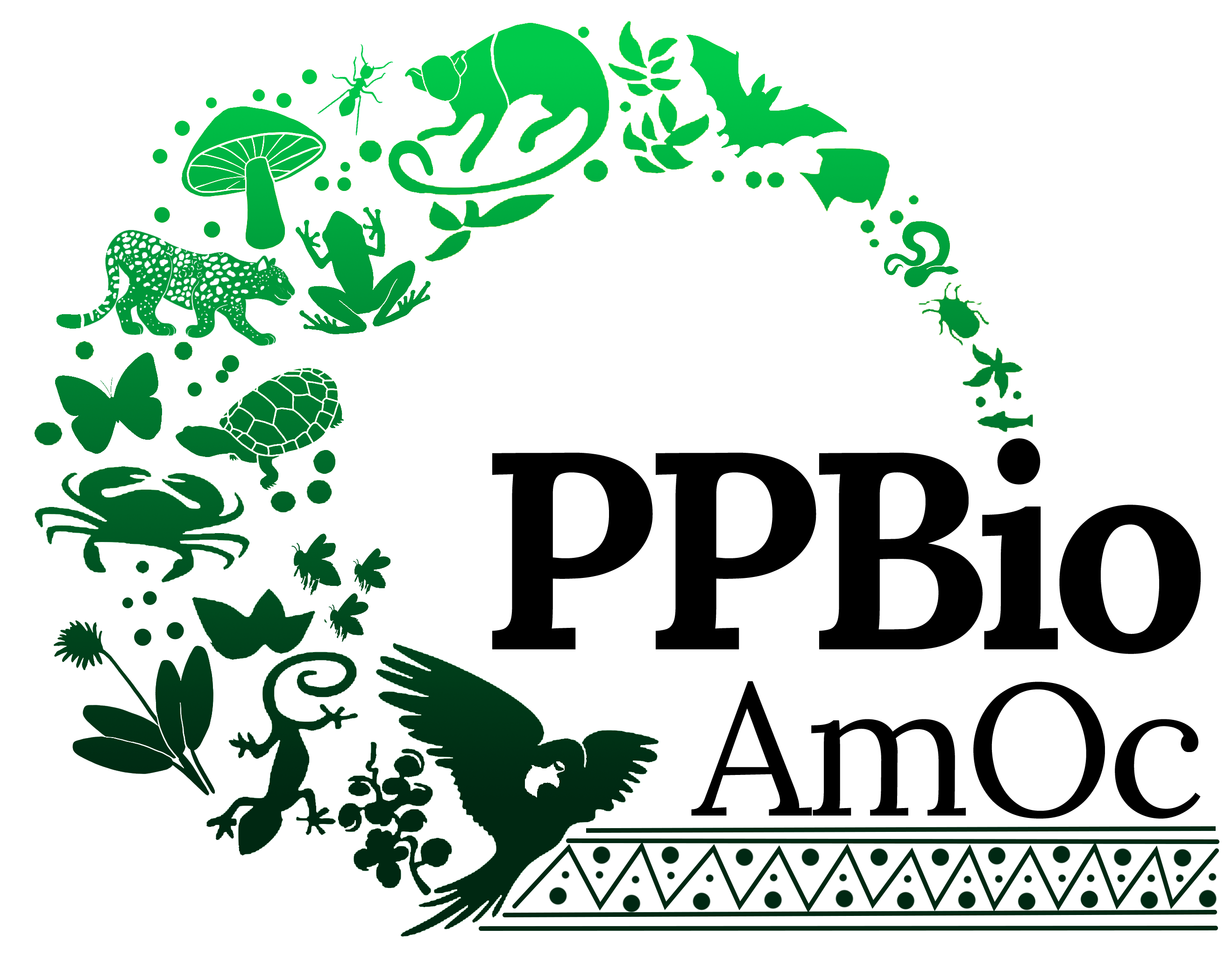 PPBio Amazônia Ocidental (PPBio Amoc) e INCT CENBAM