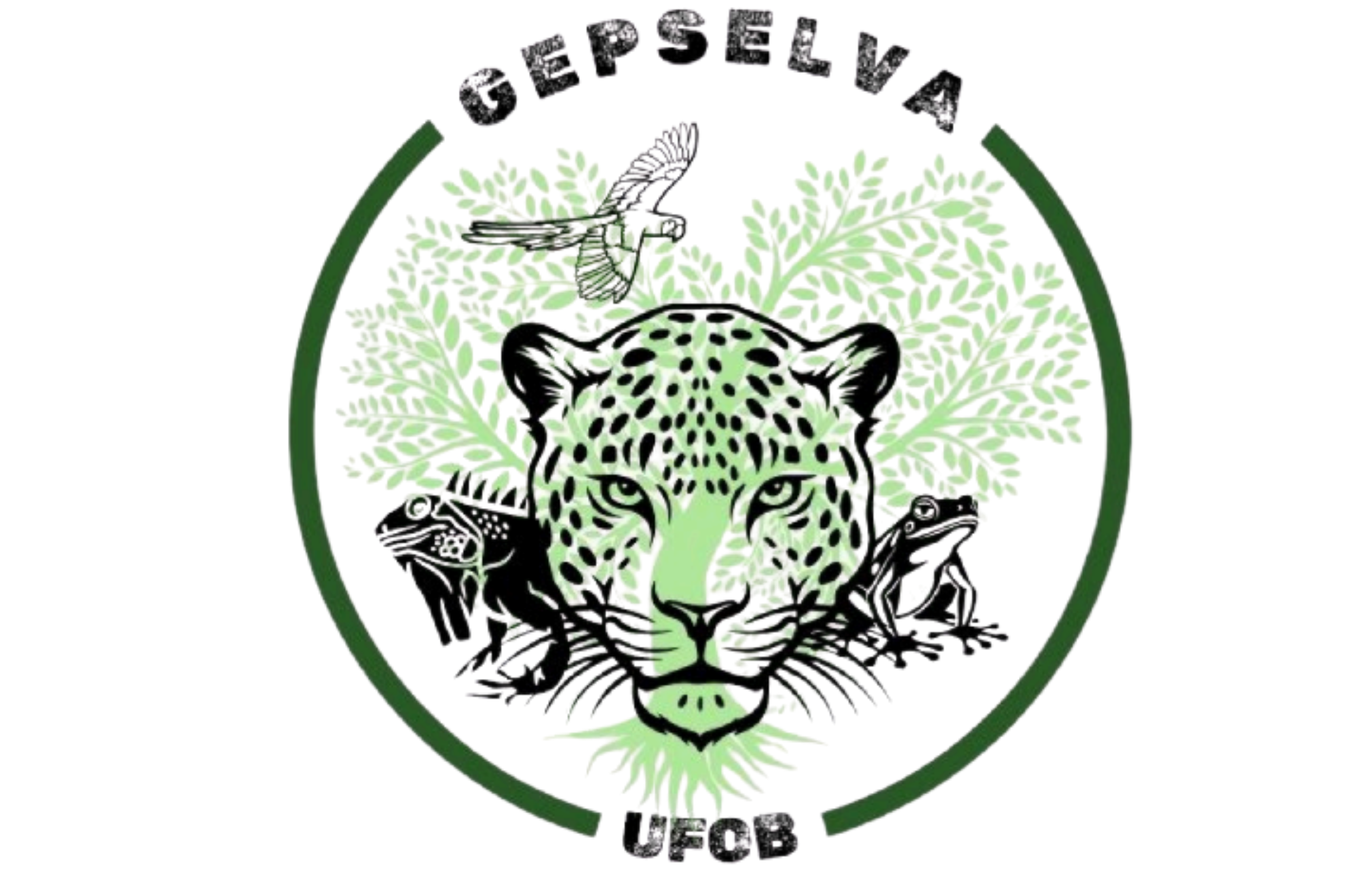 GEPSELVA/UFOB