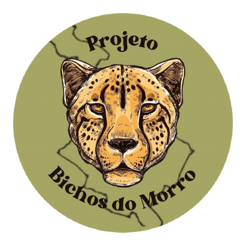 Projeto Bichos do Morro