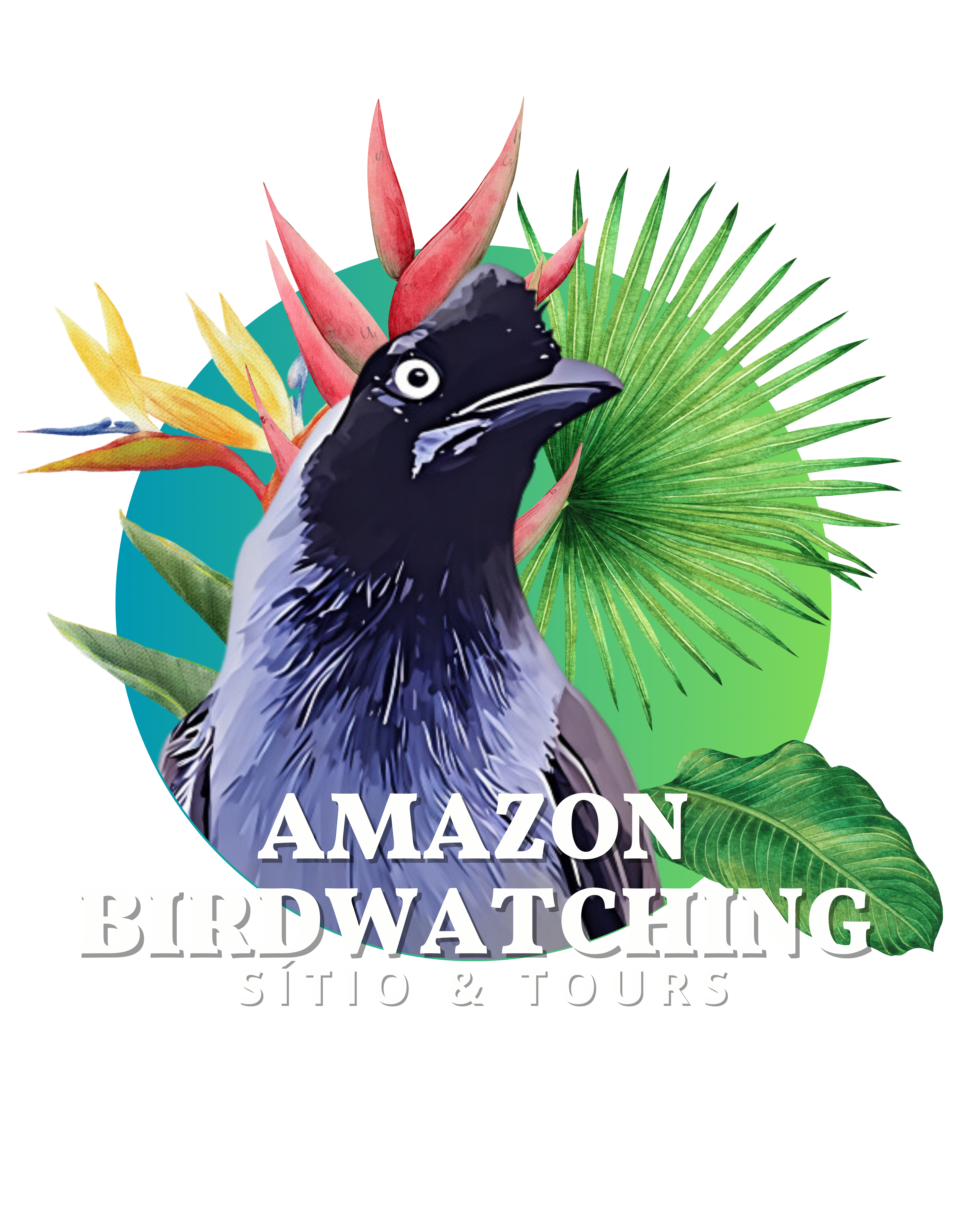 Amazon Birdwatching